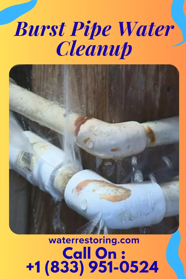 Burst Pipe Water Cleanup in Clearwater, MN