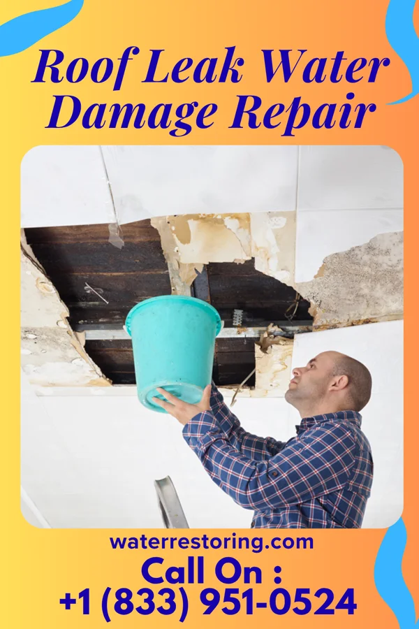 Roof Leak Water Damage Repair in Clearwater, MN